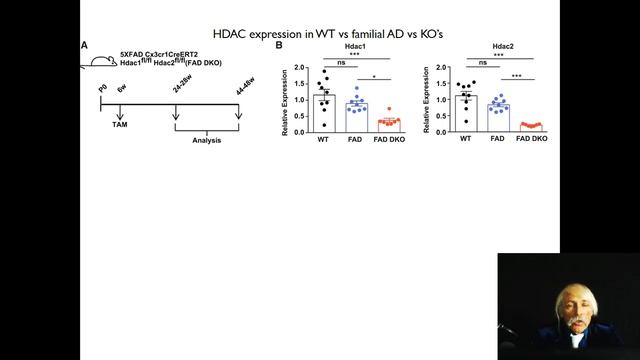 Introduction to Diaeventology: Immunogenetics of CNS part 2 смотреть онлайн