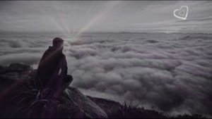 G-Life черный мерин