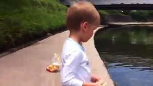 Гуси гуси Га-Га-Га . Есть хотите? Да-да-да