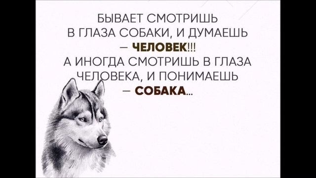 ЛЮДИ и СОБАКИ - 2018 смотреть онлайн