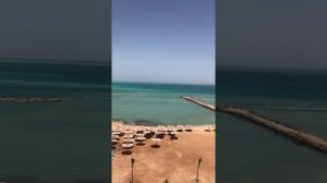 Sea View Turtles #hurghada #apartments #apartment