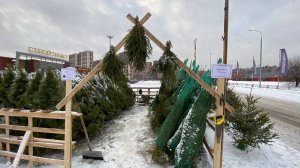 Ёлочный базар около ТЦ "СтройТракт"!