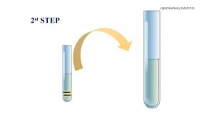 Meselson And Stahl Experiment | Malayalam Explanation | Semi-conservative DNA Replication Malayalam