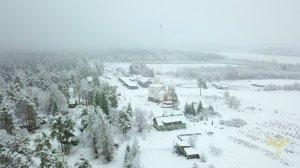 Снег над усадьбой ❄ Видеозарисовка