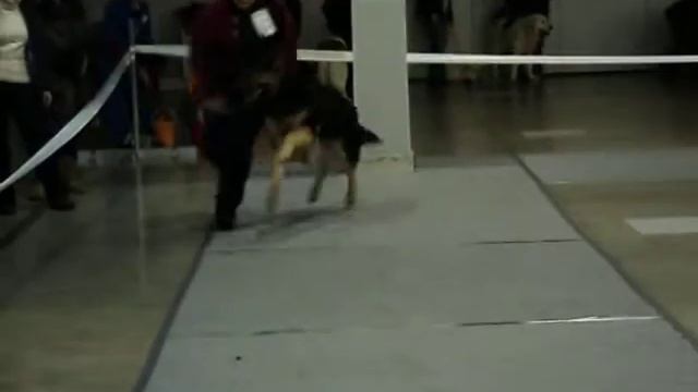 MOV03066.AVI сравнение на ЛПП. смотреть онлайн