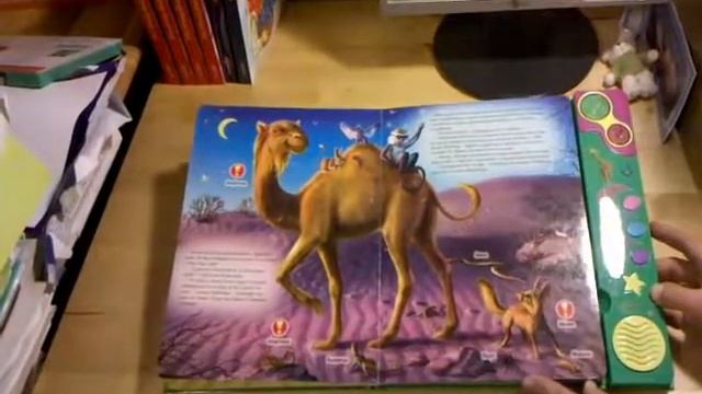 Царь зверей смотреть онлайн