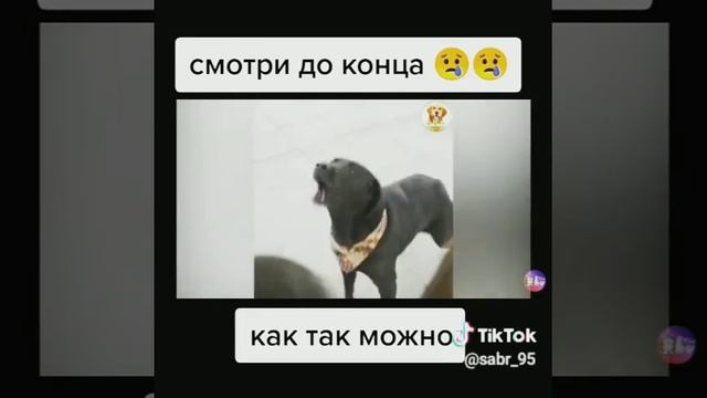 Как так можно смотреть онлайн