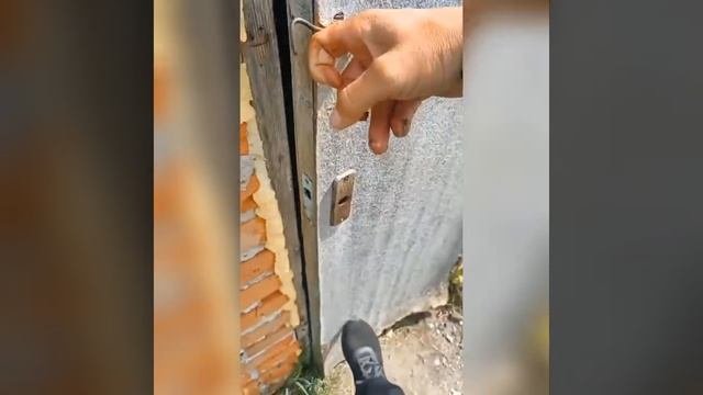 СБОРКА_ПРИКОЛОВ_ЛУЧШИЕ_ПРИКОЛЫ