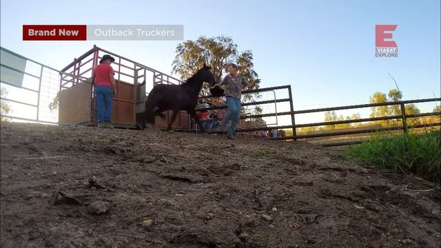 Teherautóvezetők a világ végén | Viasat Explore | Minden hétfőn 21 órakor új résszel смотреть онлайн