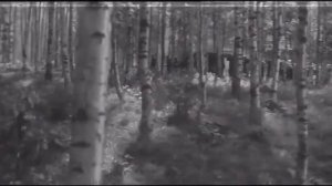 День счастья