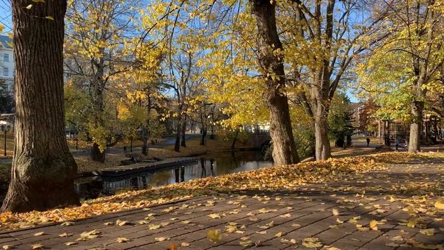 Истории из жизни: Сын привёз на вокзал и бросил. С тех пор он ждёт его. Жизненные истории до слез смотреть онлайн