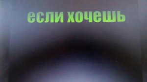 Песня шаурма