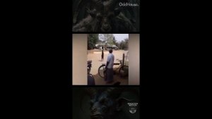 Человек козел.