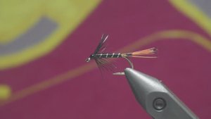 Beast WET FLY Black Pannell for trout and grayling