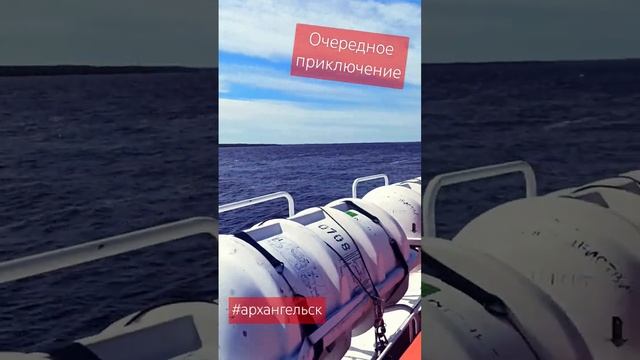 на острова #arkhangelsk #dvina #ivanflickerman #севернаядвина смотреть онлайн