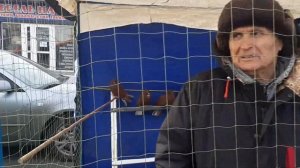 Гости и их голуби из Донецка (ДНР), Молочанска (Запорожская область) на ярмарке в Аксае. Pigeons