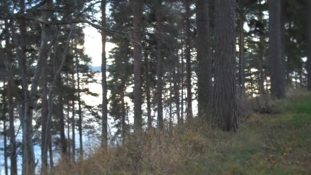 APPLE IPHONE 6S APPLE IOS 9 APPLE WATCH IPAD ANDROID WINDOWS 10 TAMPERE  KANGASALA PIKONLINNA смотреть онлайн