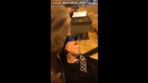 корова насрала на голову узбека бенди