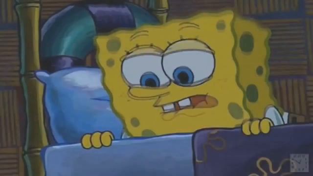 Губка Ёб 7 9 RYTP 1