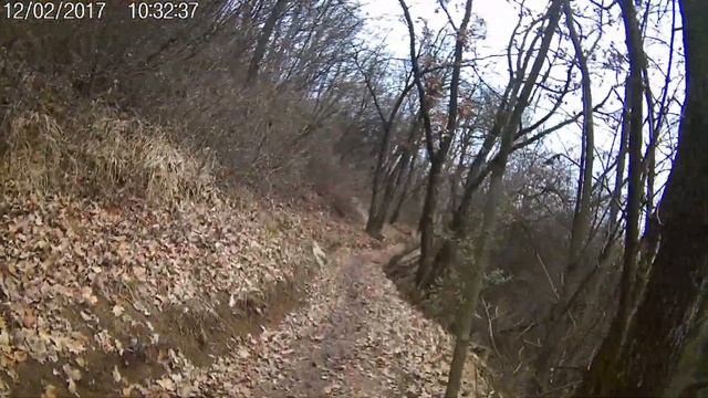 MTB BERGAMO SPECIALIZED CUBE SCOTT GIGI SURIANO MTB PLIS D'ARGON BERGAMO смотреть онлайн