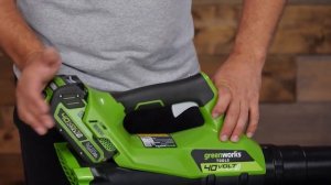 Воздуходувка Greenworks G40AB
