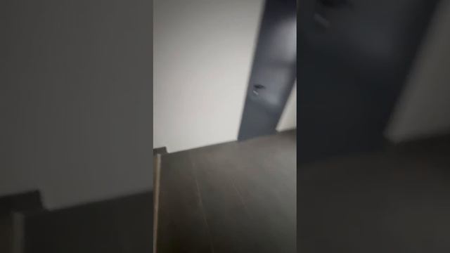 Береговая 6 Квартира смотреть онлайн