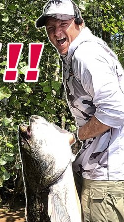 ЧУТЬ НЕ ВЫБРОСИЛ МЕНЯ ИЗ ЛОДКИ!!! ОГРОМНЫЙ СОМ НА СПИННИНГ!!! #рыбалка #fishing #рыбалкасподвохом