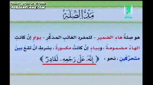 11. Мадд сыля (определение и замечания )