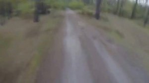 Кто быстрее медведь ?или человек?//шокирующие видео!!