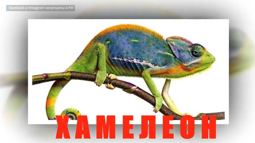 ХАМЕЛЕОН  -  занятие по развитию вербального интеллекта