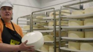 Супер-польза от  сыра камамбер.  Гастро дача Вселуг в Тверской области.