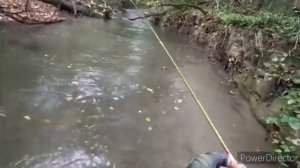 трудовая рыбалка на форель