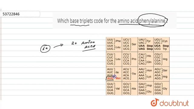 Which base triplets code for the amino acid phenylalanine ?  | 12 | MOLECULAR BASIS OF INHERITAN...