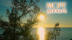 Декабрь у Черного моря. @UHD.TRIP