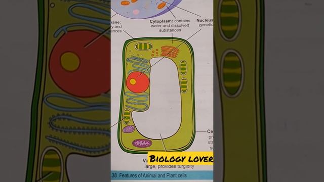 Biology students aspirants lover 💥💥💥💥💥💥💥💥💥💥💥💥💥💥💥💥💥