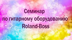 Алексей Черёмуш и Вячеслав Ханов. семинар по гитарному оборудованию Roland-Boss