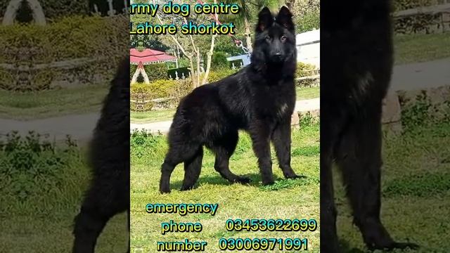 24 March 2022 смотреть онлайн