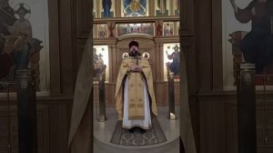 Исцеление десяти прокажённых. О любви к Богу и ближнему. Проповедь о. Андрея. 22.12.24