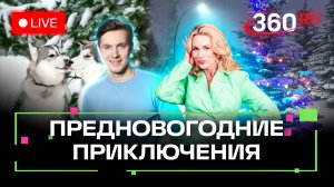 Погода 25 декабря и прогноз на завтра. Оливье, хаски и гололедица. Метеострим 360