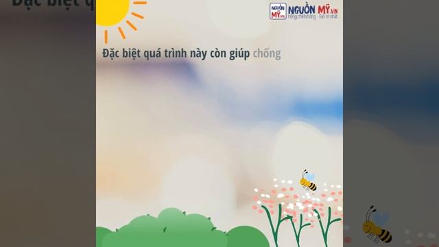 Bột NeoCell Collagen 6.600mg Type 1&3 198g của Mỹ смотреть онлайн