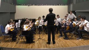 Неаполитанская тарантелла (итальянская народная музыка)