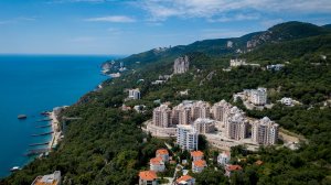 Diplomat Promo 2024 короткий 59 сек