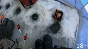 рыбалка зимняя 2020-2021 в зимней палатке ловля плотвы густеры