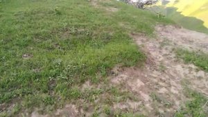 Охота на кеклик, 6 апрел. Шикори Кабк