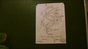 Гигантское ДНК