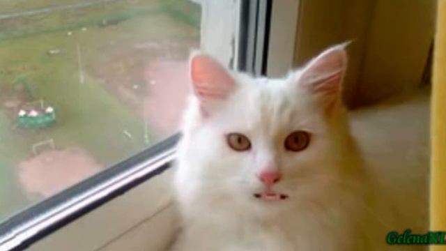 Бывает разный Конец Света Хорошая песня А Долгинов смотреть онлайн