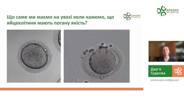 Донація яйцеклітин очима ембріолога смотреть онлайн