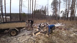 Помогли бабушке с дровами