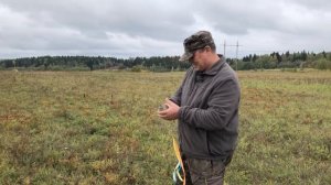 Работа молодых собак в поле