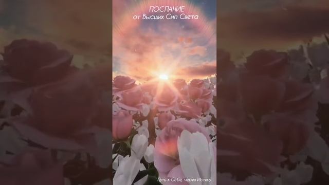 Послание от Высших Сил Света - Наступило Время перехода